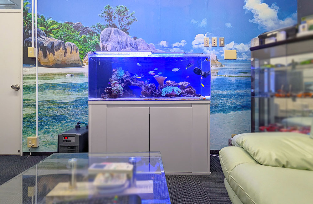 青い照明の海水魚水槽と海辺の壁紙がある室内風景