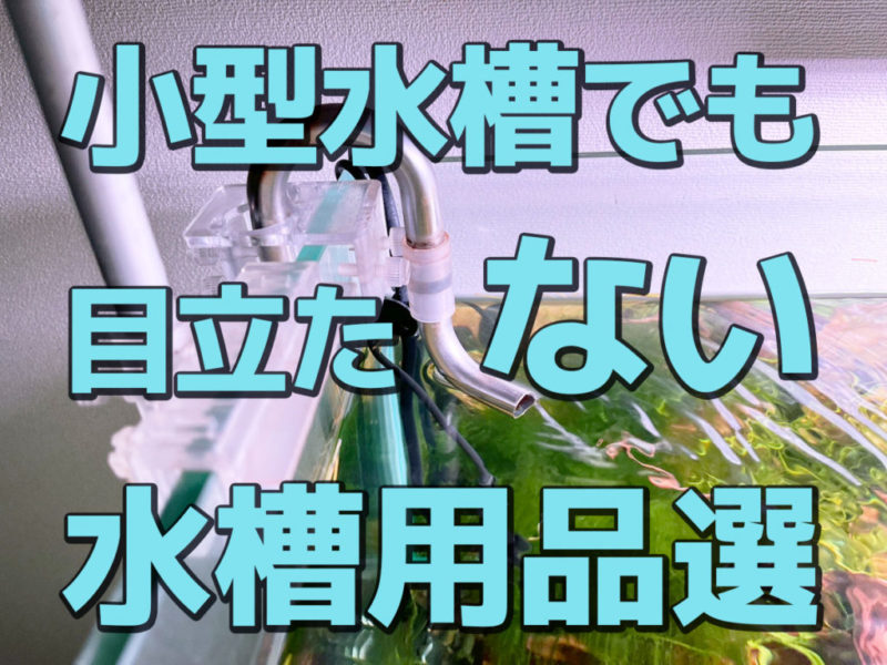 小型水槽でも目立たない水槽用品選の見出し画像