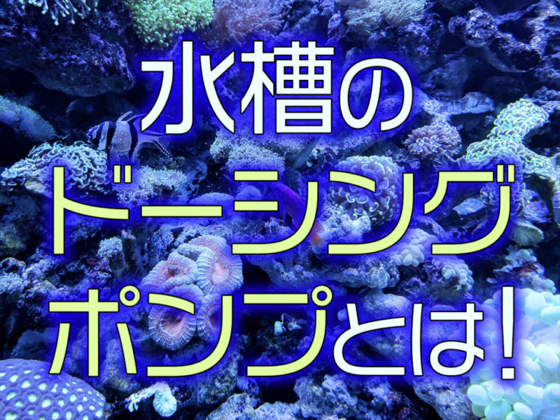水槽のドーシングポンプとは!の文字とサンゴ礁の画像