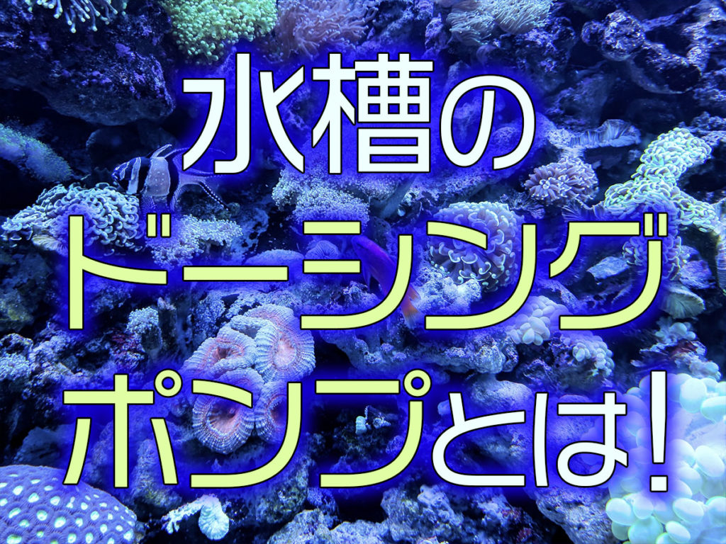水槽のドーシングポンプとは!メリット・デメリットと便利な用品も紹介のサムネイル画像