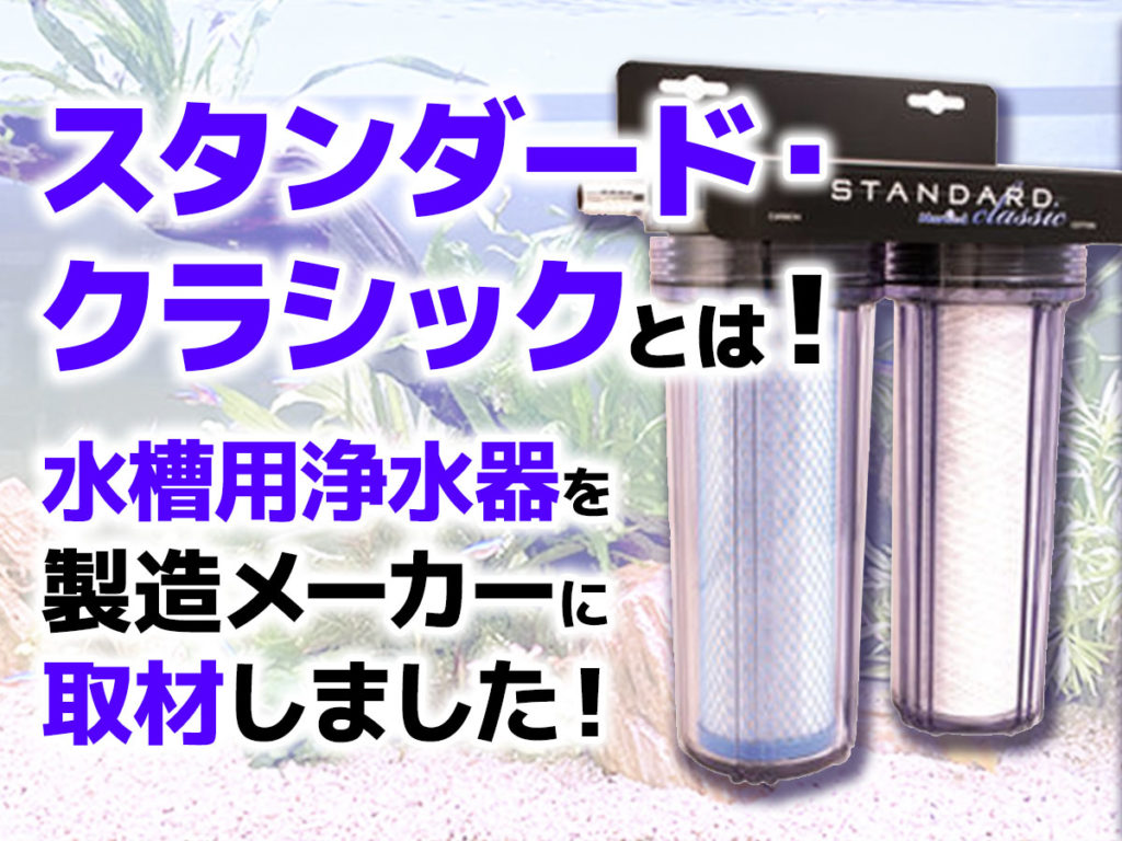 マーフィードのスタンダード・クラシックとは！水槽用浄水器について取材のサムネイル画像