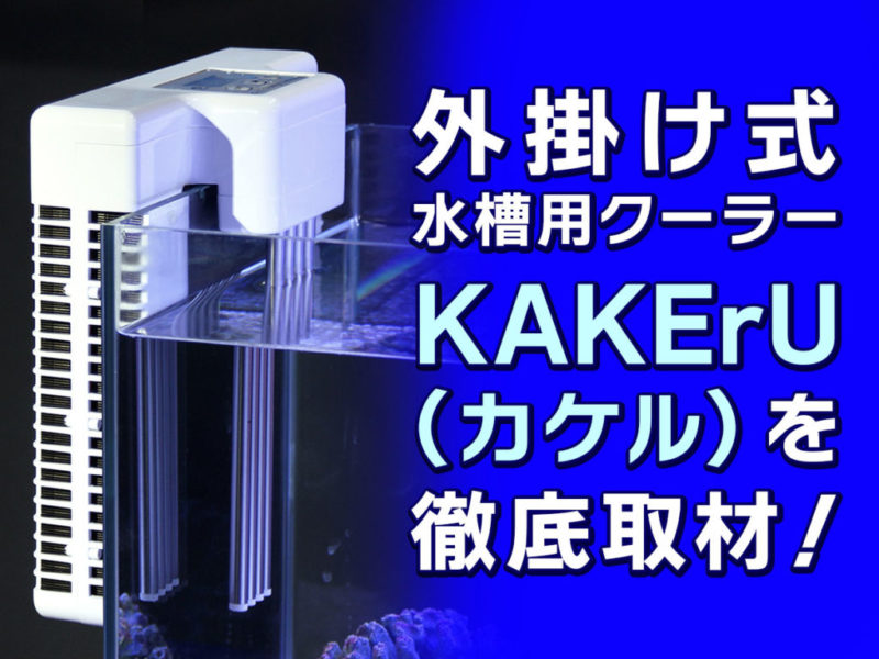 外掛け式水槽用クーラーKAKERU徹底取材の見出し画像