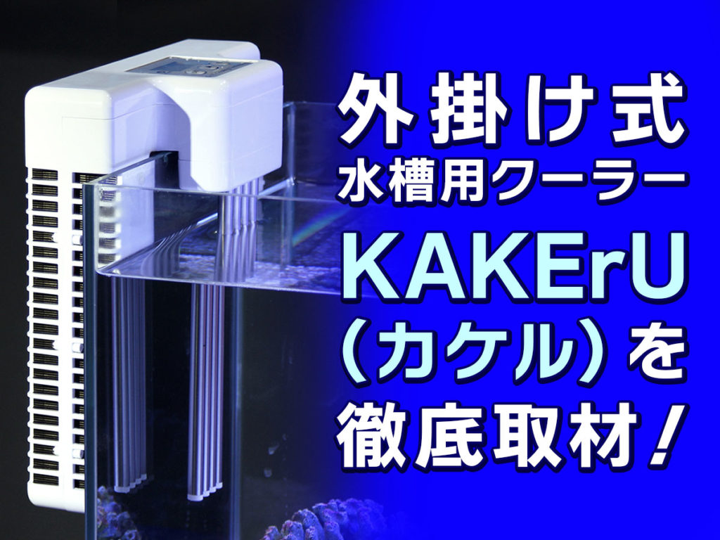 KAKErU（カケル）とは！水槽の外掛け式クーラーをゼンスイに取材のサムネイル画像