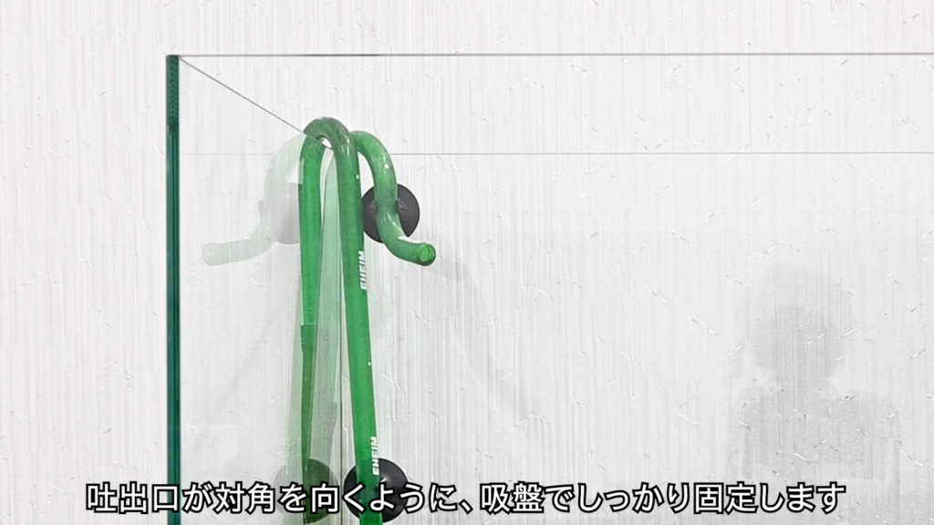 吸盤で水槽に固定された緑色のオーバーフローパイプ
