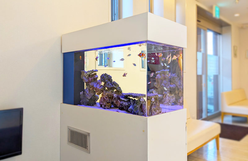 歯科クリニック様の90cm海水魚水槽を定期メンテナンス!その後の様子 水槽画像5