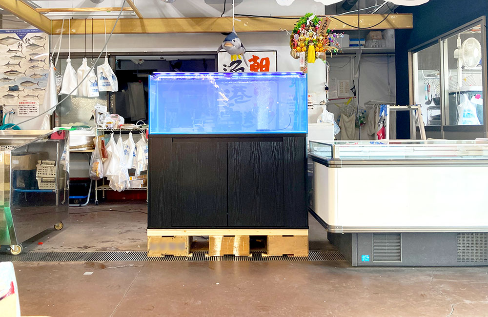 鮮魚店内に設置された青い照明の大型水槽と黒い水槽台