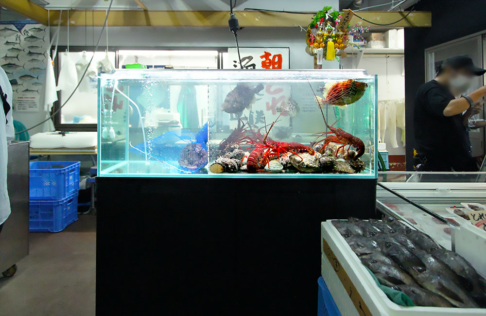 伊勢海老や魚が入った鮮魚店の活魚水槽