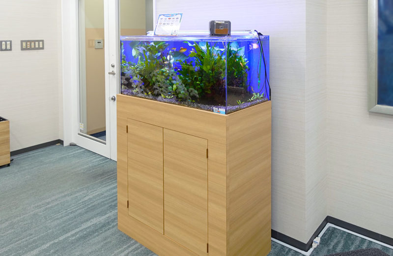 企業様のエントランスに90cm淡水魚水槽をレンタル!木目の水槽台で設置 水槽画像4