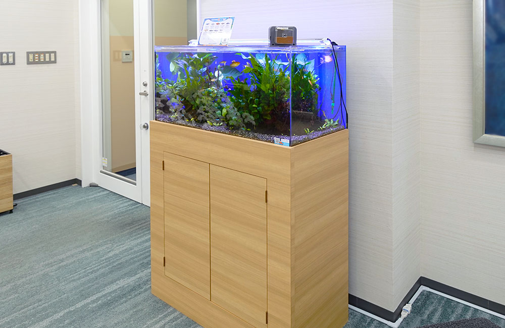 木目調の水槽台に設置された水草と小型魚の熱帯魚水槽