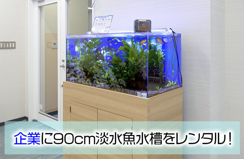 企業様のエントランスに90cm淡水魚水槽をレンタル!木目の水槽台で設置 水槽画像1