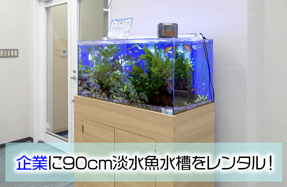 企業様のエントランスに90cm淡水魚水槽をレンタル！木目の水槽台で設置のサムネイル画像