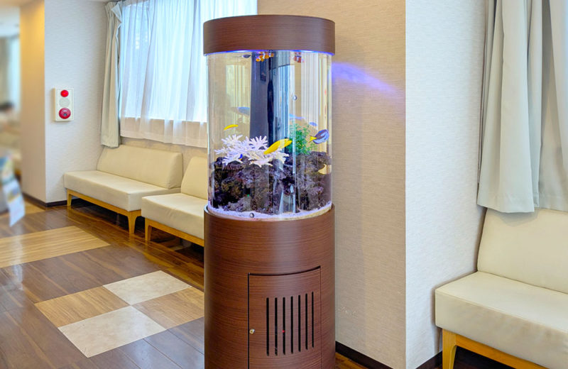 皮膚科クリニック様の直径60cm円柱水槽を定期メンテナンス！その後 水槽画像５