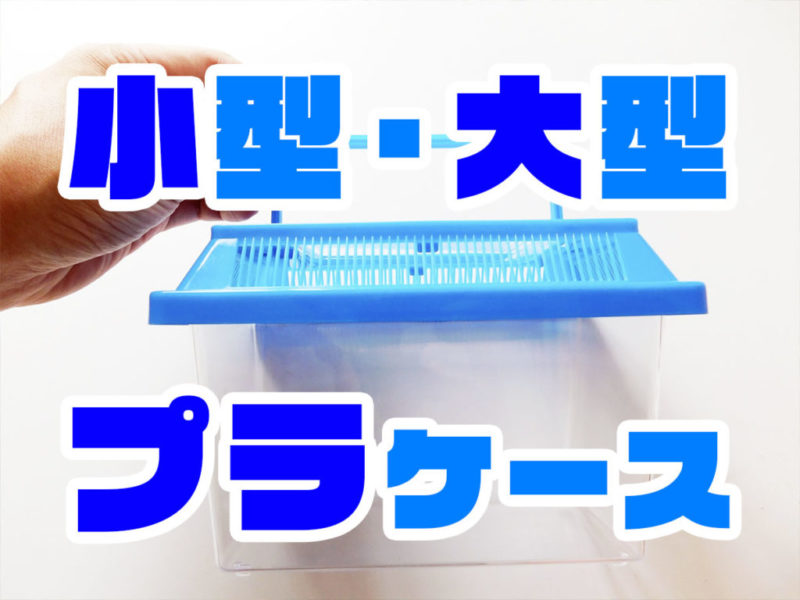 小型・大型プラケースの文字が入った飼育容器の見出し画像