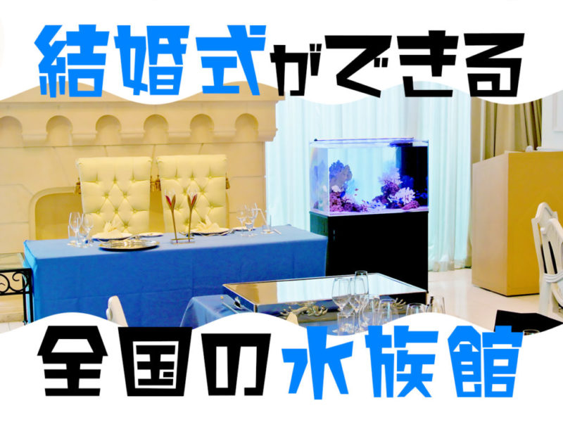 結婚式ができる全国の水族館の文字と披露宴会場の水槽