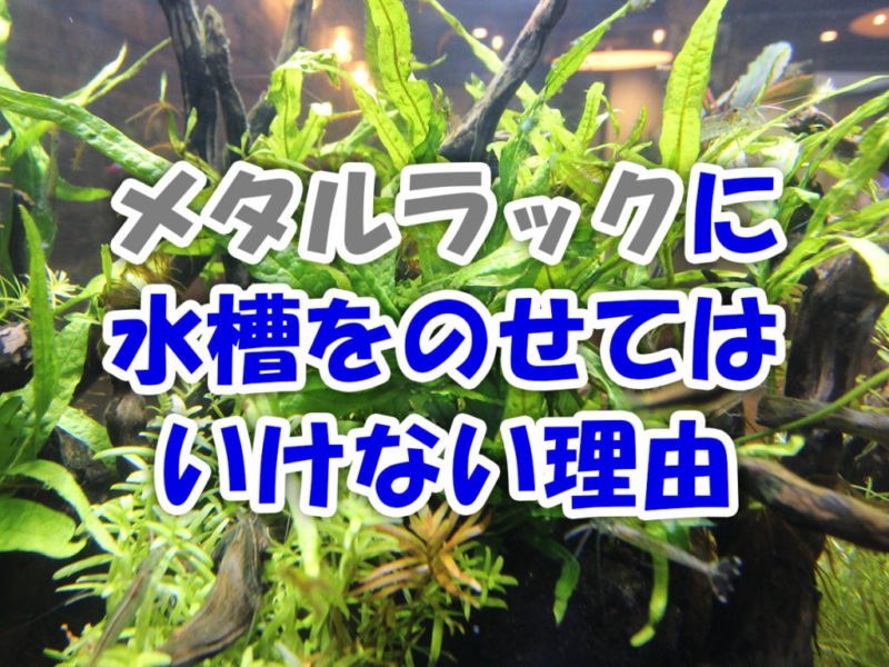 メタルラックに水槽をのせてはいけない理由の見出し画像