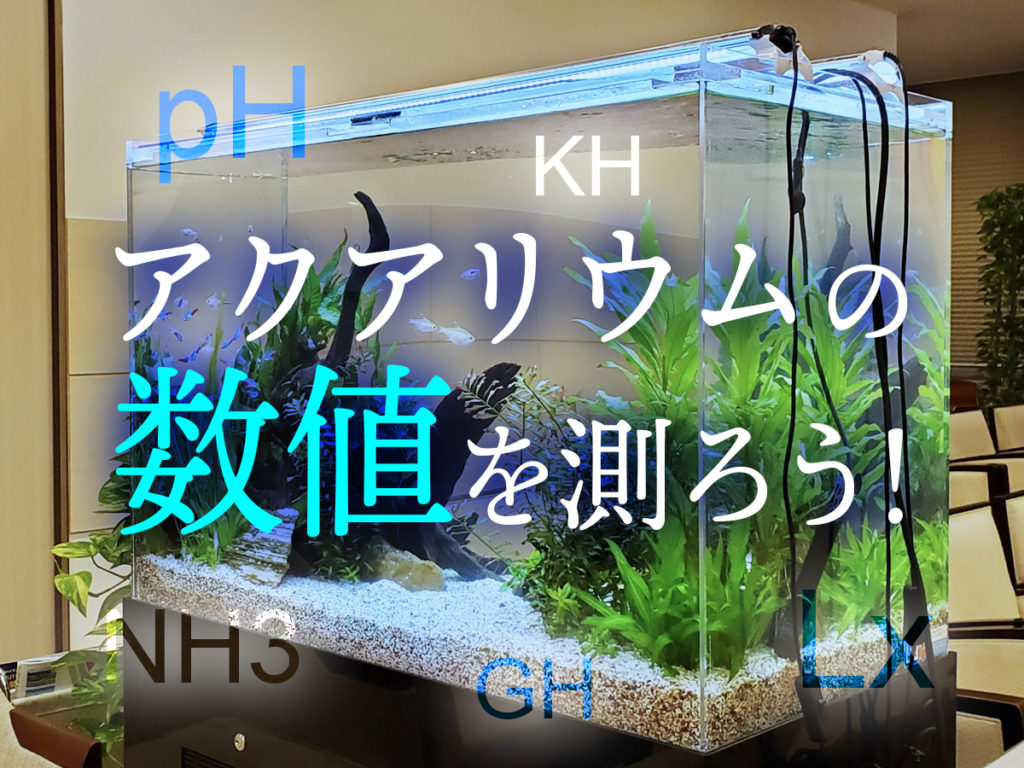 アクアリウムの数値を測ろう!水質・照明などの単位と意味を解説!のサムネイル画像