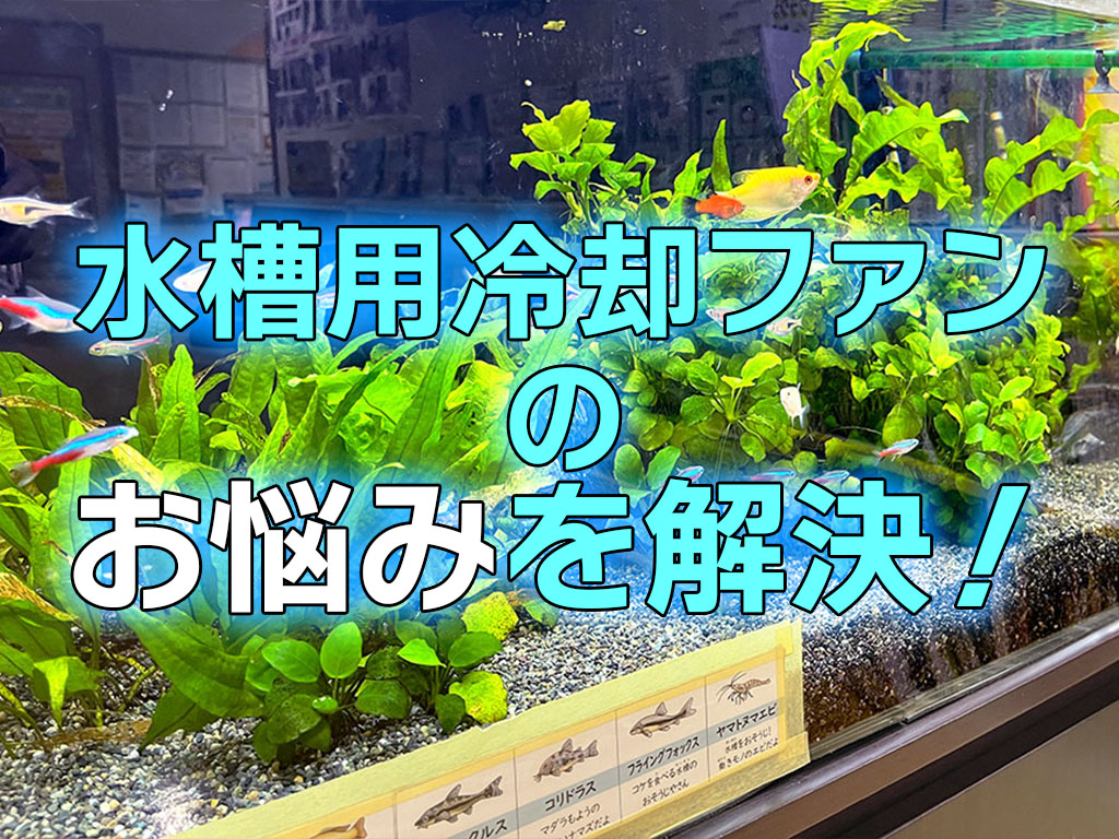 水槽用冷却ファンのお悩み5個を解決！水槽用クーラーとの違いも解説のサムネイル画像