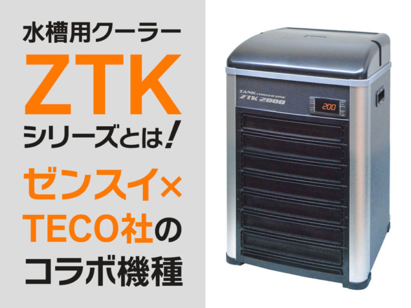 水槽用クーラーZTKシリーズとコラボ機種の見出し画像