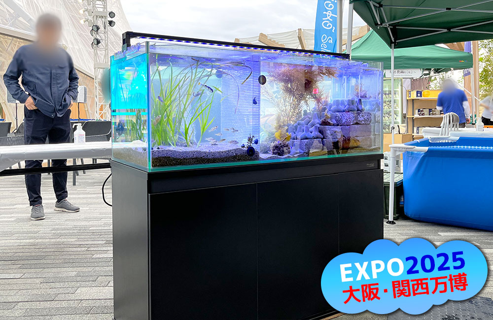 EXPO2025大阪・関西万博ロゴ入りの水槽展示画像