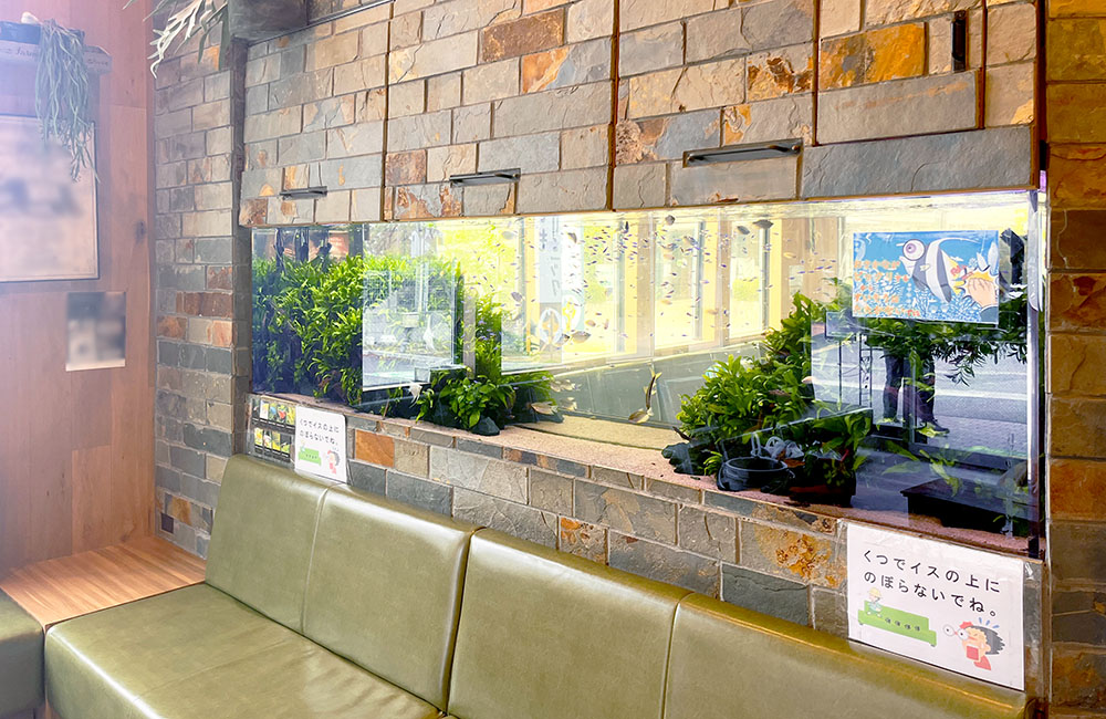 石壁に埋め込まれた横長の水槽と緑色のソファ