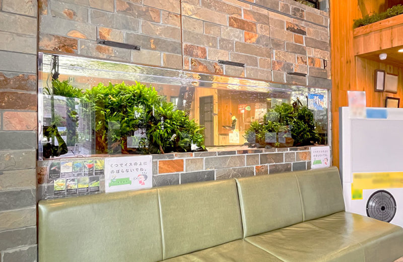 薬局様の2.6ｍ埋め込み式水槽・その後！月2回の定期メンテナンスを行っています 水槽画像２