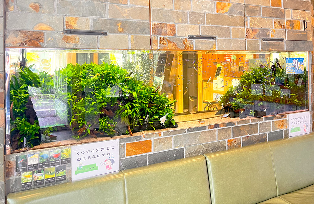 レンガ調の壁に埋め込まれた大型の水草レイアウト水槽