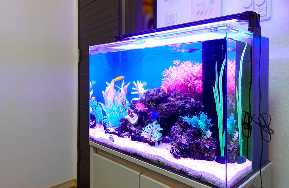 カラフルな人工水草と熱帯魚が泳ぐ室内設置の水槽