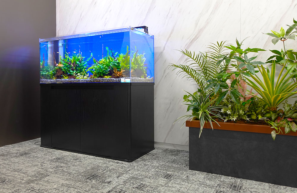 黒い台に置かれた水草水槽と隣に並ぶ観葉植物のプランター