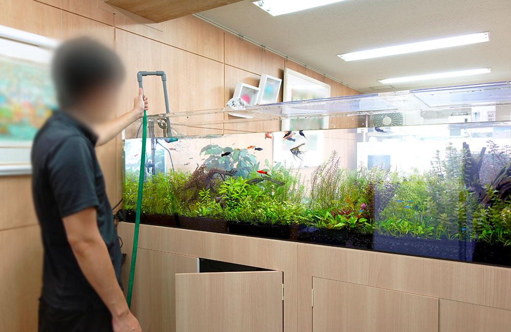 大型水槽のメンテナンスを行うスタッフと水草レイアウト