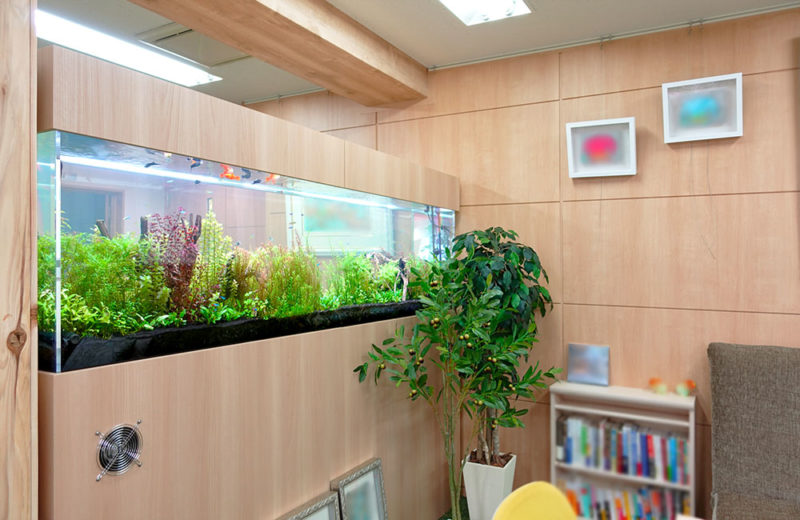 企業様に2m水草水槽を販売！定期メンテナンスで管理してます 水槽画像５