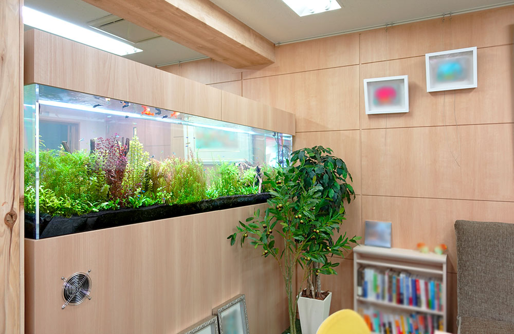 木目調の壁に埋め込まれた大型の水草水槽と観葉植物