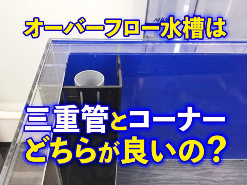 オーバーフロー水槽の三重管とコーナー加工比較の見出し画像