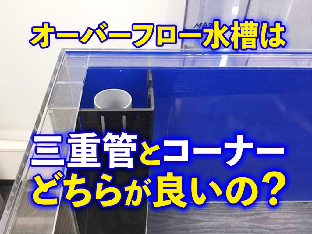 オーバーフロー水槽は三重管とコーナーのどちらが良いの?ピストルも解説のサムネイル画像