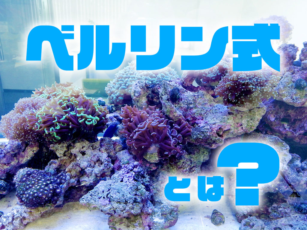 ベルリン式とは!メリットと必要な設備・立ち上げ方、添加剤について!のサムネイル画像