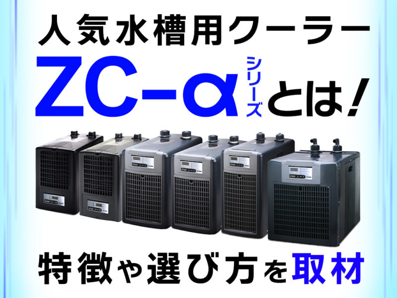 人気水槽用クーラーZC-αシリーズの特徴と選び方の見出し画像
