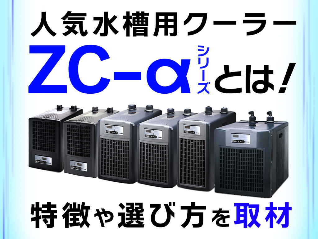 水槽用クーラーのZC-αシリーズとは!特徴と選び方を取材!人気機種のメリットも解説のサムネイル画像