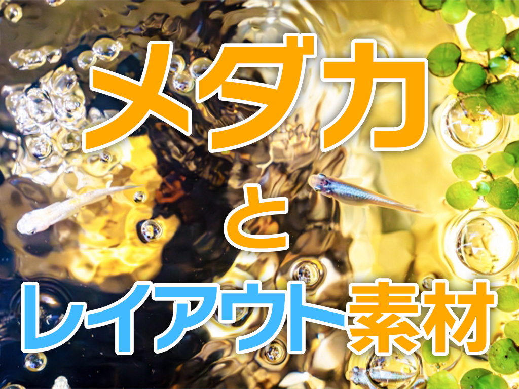 メダカとレイアウト素材！メダカ水槽レイアウトにおすすめな10選