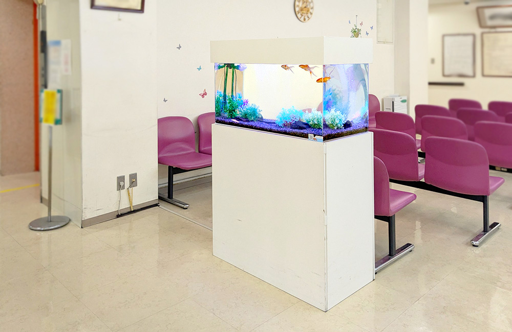 待合室に設置された金魚が泳ぐ白い水槽台のアクアリウム