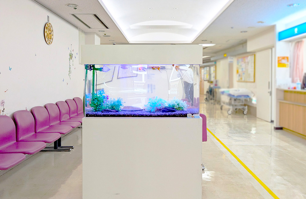 病院の待合室に設置された白い水槽台の熱帯魚水槽