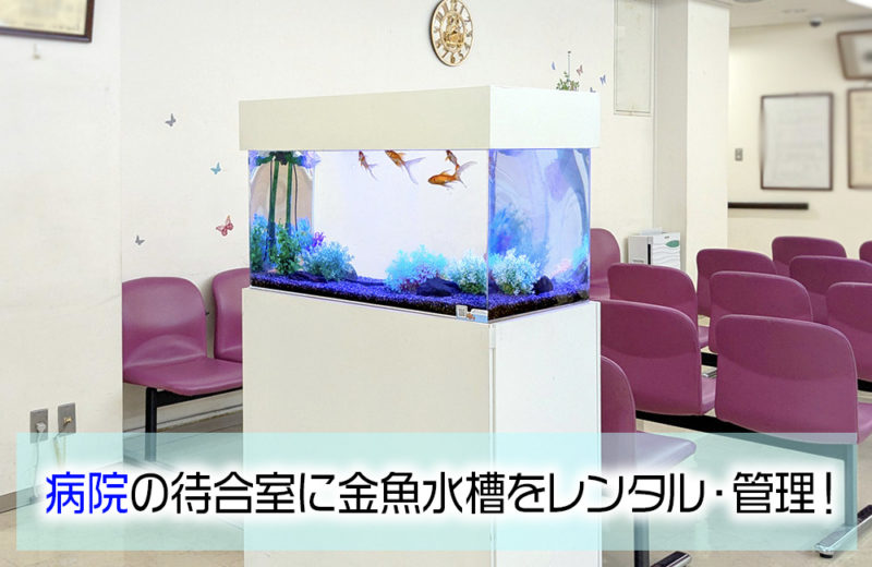病院の待合室に金魚水槽をレンタル・管理の見出し画像