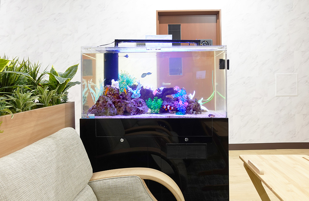 待合室に設置された海水魚水槽とソファの風景
