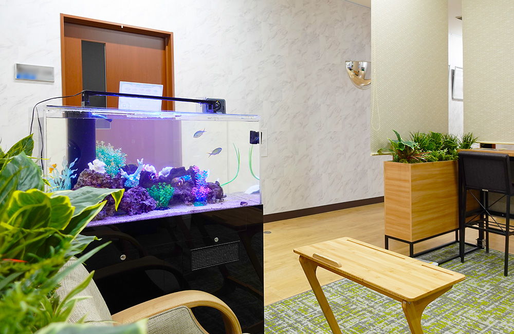 オフィスに設置された海水魚水槽と木製家具の並ぶ室内