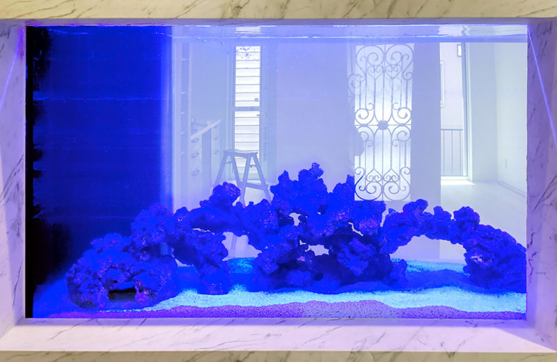 個人宅様に埋め込み水槽をオーダーメイド販売・設置!海水魚を飼育予定です 水槽画像3