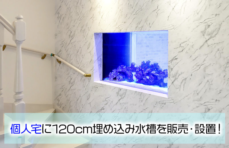 個人宅様に埋め込み水槽をオーダーメイド販売・設置!海水魚を飼育予定です 水槽画像1