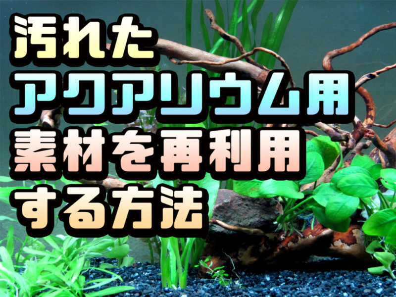 汚れたアクアリウム用素材を再利用する方法の見出し画像