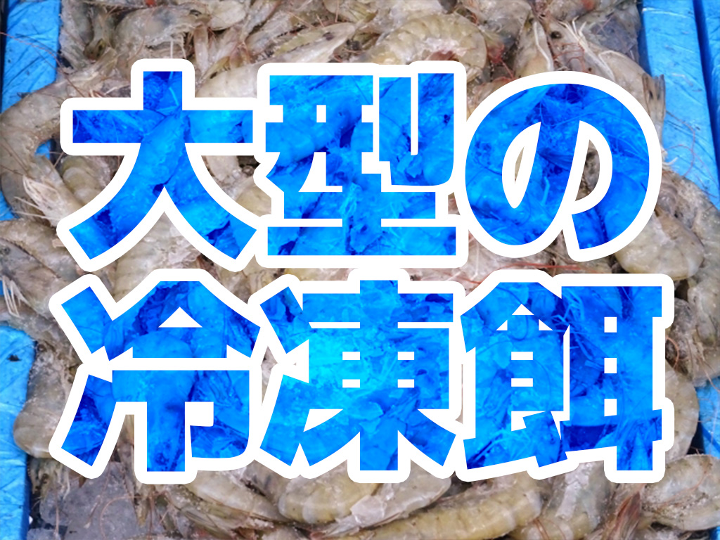 大型の魚用冷凍餌10選!大型魚に与えやすい魚・昆虫などの餌を紹介のサムネイル画像