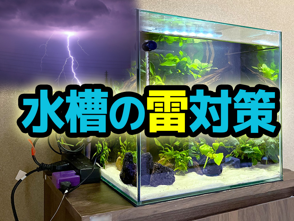 水槽の雷対策！電源の落雷・停電対策で生体やアクアリウム機材を守ろうのサムネイル画像