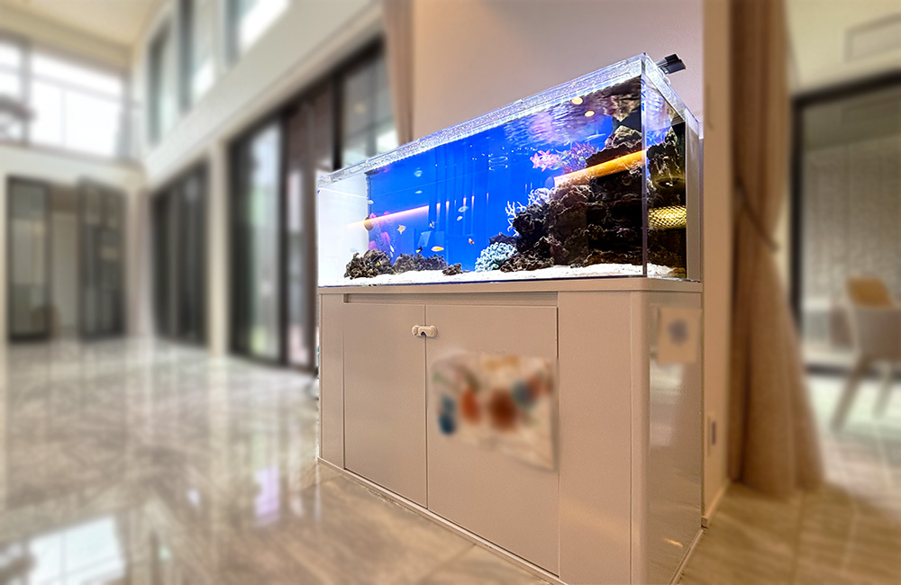 リビングに設置された白い水槽台と大型の海水魚水槽