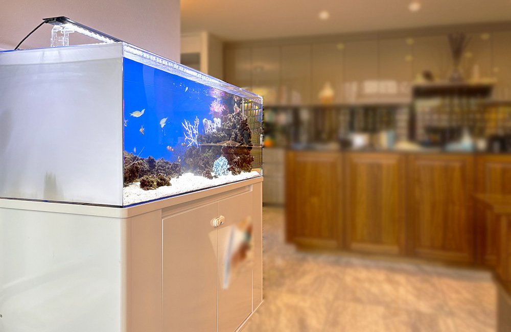 リビングに設置された海水魚水槽と白い水槽台の風景