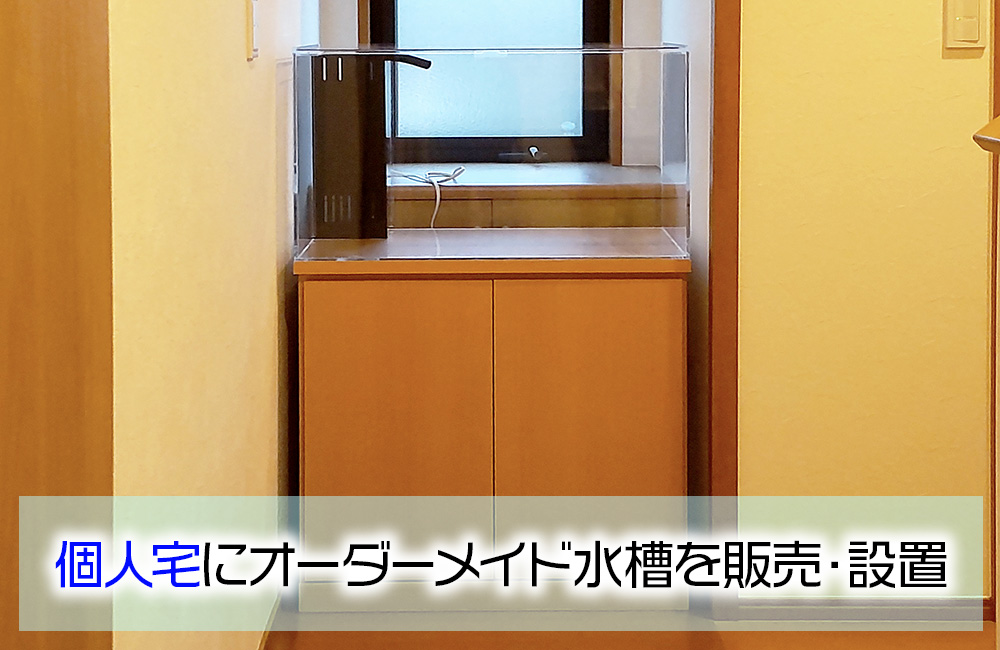 個人宅様へ70cmオーバーフロー水槽をオーダーメイド販売！スペースにぴったり設置のサムネイル画像